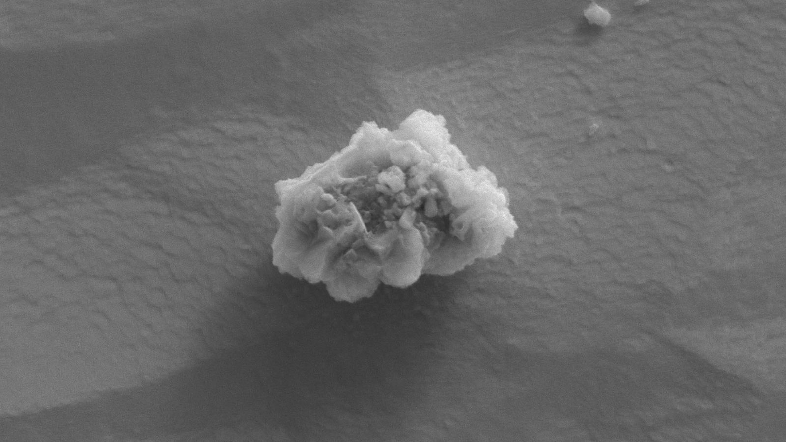 Scanning electron microscope image of a presolar silicon carbide grain from the Murchison meteorite