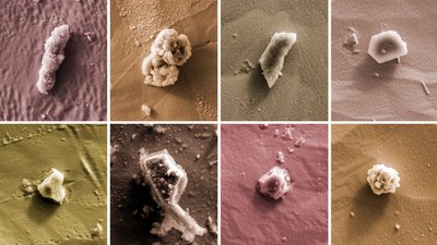 Eight colored SEM images of presolar grains from Quanta Magazine
